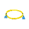 پچ کورد فیبر نوری نگزنس SC-SC MM OM2 DX